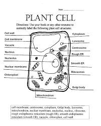 Plant Cell Worksheets Answers Cells Worksheet Plant Cells Worksheet Plant Cell Diagram