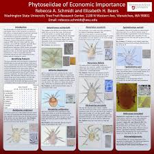 The importance of pest definitions. Pdf Phytoseiids Of Economic Importance