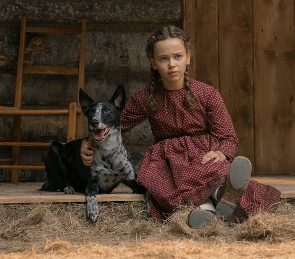 Little House on Prairie' dog Jack's many happy lives, tearful deaths