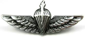 Unknown Paratroopers Parachute Wings Beret Badge