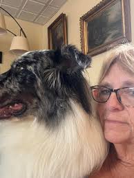 Choosing a golden-aussie puppy to match with aussie?