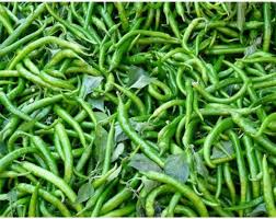 ASK AGROS – Agricultural Products & Sourcing from Warangal Telangana