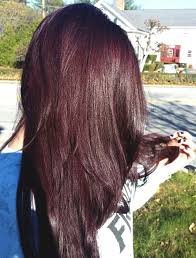 Pastor echoes a similar sentiment, saying, there are a. Chocolate Cherry Dark Brown Hair Min Ecemella
