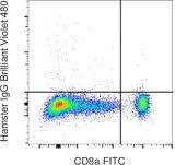 CD103 (Integrin alpha E) Monoclonal Antibody (2E7), Brilliant Violet™ 480
