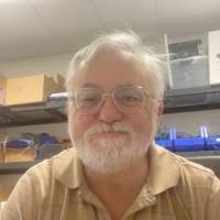 20+ "Ray Lance" profiles