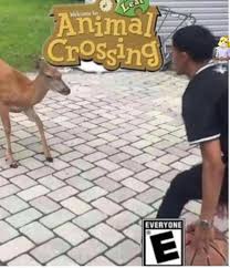 Pin By Gotbeans On Yes Animal Crossing Animal Crossing Memes Funny Memes