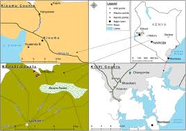 3 bedroom house plans designs in kenya tuko co ke. Dengue And Yellow Fever Virus Vectors Seasonal Abundance Diversity And Resting Preferences In Three Kenyan Cities Parasites Vectors Full Text