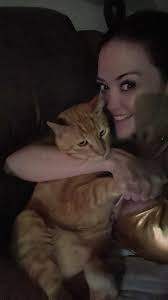 Lost cat in Ocean View area