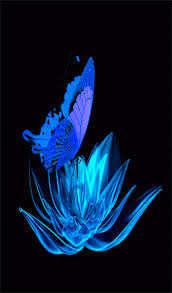  Trandafirul56 Community Google