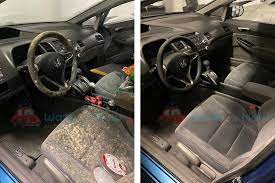 Can Mold Be Removed From Car Interior