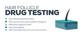 5 panel hair follicle drug test near me. Drug Testing Explained Cost Devices Privacy And Accuracy