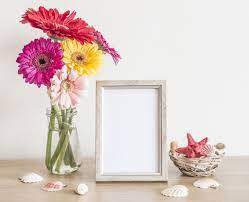 gal4 – Kingsley Event Supply