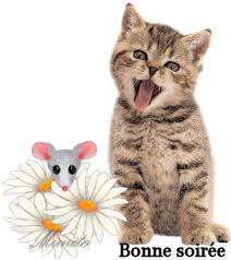 Résultats de recherche d'images pour « bonne soirée bonnesimages »