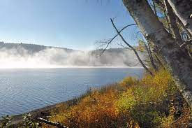 Large parts of the municipality are covered by forests and the hautes fagnes wetlands. Cycling In Eupen The Best Bike Routes