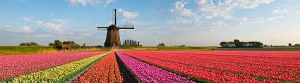 Wir werden einen monatlichen newsletter mit informationen zu den besten veranstaltungen in holland und updates zur frühjahrssaison 2021 verschicken. Tulpen In Holland Die 9 Besten Orte In Den Niederlanden Zur Tulpensaison Skyscanner Deutschland