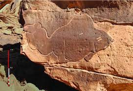 Senator from mississippi, who was then chairman of the senate committee on military. Life Size Camel Carvings Found In The Saudi Desert Smart News Smithsonian Magazine