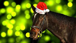 Many free stock images added daily! Cute Christmas Horse Wallpaper With Santa Cap Free Horse With Santa Hat 1920x1079 Wallpaper Teahub Io