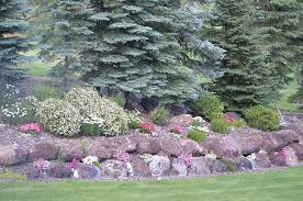 Like most home owners i too have had a challenge to attend to my landscaping needs. Green Lawn Mature Trees Amp Flowers In Between Rocks By Jill Thornton Photo Stock Snapwire