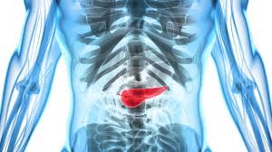 The pancreas diet is found in the book. Bisakah Kita Hidup Tanpa Pankreas Kafe Kepo