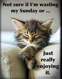 Top 26 Happy Sunday Memes Happy Sunday Quotes Sunday Humor Sunday Quotes Funny