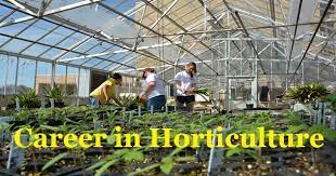 Job searching just got easy. Horticulture Career Horticulture Profession Horticulture Job Prospects
