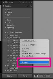 How To Import Presets In Lightroom: Import New Presets (Step-By-Step Guide)