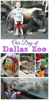 Our Day At Dallas Zoo Busy Mom S Helper Dallas Zoo Zoo Fort Worth Zoo