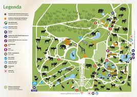 Zoo chorzów 2018 wycieczka po zoo. Zoo Chorzow