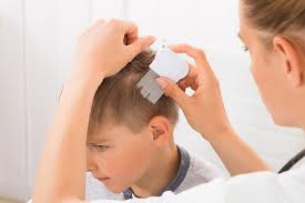 In fact, they don't care much about hairstyles or length. The Scoop On Head Lice Health Beat Spectrum Health