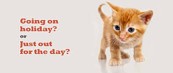 Allow cat owners to contact you. Pet Sitting Stevenage Stevenage Cat Sitting Dog Walking Dog Let Outs Puppy Care Pet Taxi