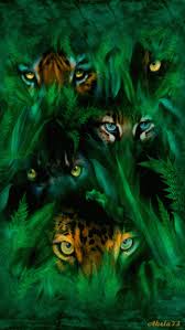 Https Encrypted Tbn0 Gstatic Com Images Q Tbn 3aand9gcrd2bnyie1cwqf91eidtcqyzcsytbdp0p72aa Usqp Cau