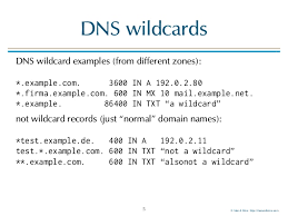 It follows a posse in alternate history 1879 as they make their trek through the dangerous deadlands of the wild west. Wildcard Address Networx Security