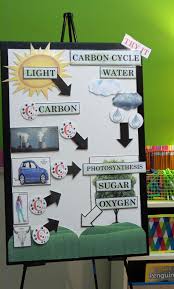 Active Anchor Chart Carbon Cycle Carbon Cycle Biology