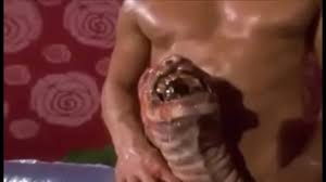 Monster Penis WTF - XNXX.COM