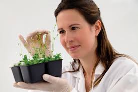 University of Lethbridge Graduate Studies