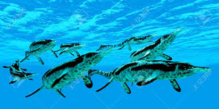 Image result for ichthyosaurs