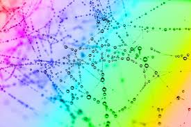 Berechnete regenbogenfarben links im mittleren und unteren streifen. Wassertropfen Kleben An Einem Spinnennetz Hintergrund In Regenbogenfarben Creative Commons Bilder