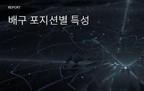 완 비사카가 새로운 시즌이 시작되면 매과이어의 파트너로. ë°°êµ¬ í¬ì§€ì…˜ë³„ íŠ¹ì„± ë ˆí¬íŠ¸