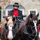 2025 Christmas In Middleburg - Horse Drawn - Middleburg Museum, 12 N Madison St Event Image