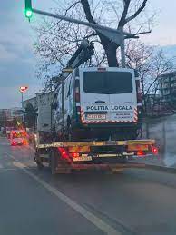 Cel mai bun imagini noi din pantofi de sport vremea 7 zile vatra dornei. Vremea La Cluj Napoca Pe 15 Zile Cabane In Copac Predeal