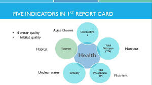 نتیجه جستجوی لغت [indicators] در گوگل
