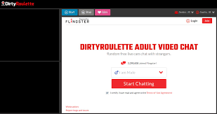 DirtyRoulette (Secrets Exposed - A Detailed Review) | Chat Site Reviews