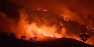 Jan 01, 2020 · australia is being ravaged by the worst wildfires seen in decades, with large swaths of the country devastated since the fire season began in july. Australia S Devastating Wildfires Were Not Inevitable The Nation