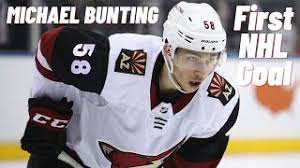 Michael has 2 jobs listed on their profile. Michael Bunting Dobberprospects