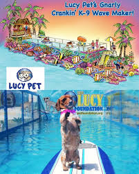 Kediler ve köpek mamullerinin bazılarını cats incredible litter ve life for life formülleri gibi formülleri kontrol ettim. Win A Seat On Lucy Pet Products Tournament Of Roses Parade Float