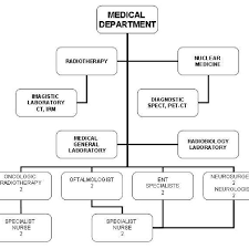 Organizational Chart Of Medical Department 8 Download