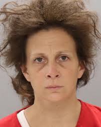 BROGDON, ABIGAIL NICOLE Charges: PUBLIC INTOXICATION This information and  more is available at https://sheriff.knoxcountytn.gov