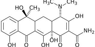 Image result for Bothriocline