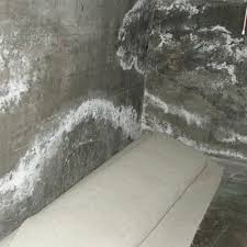 Mold and mildew spores flourish in basements that are dim, warm, damp and poorly lit. White Mold Or Efflorescence Wet Block Walls With White Powder