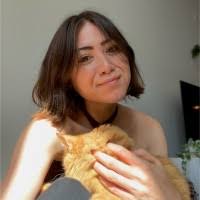 Tracy Colbert's Instagram, Twitter & Facebook